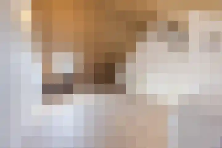 Lieve Vrouweveld 34 Vorstenbosch thumbnail 31