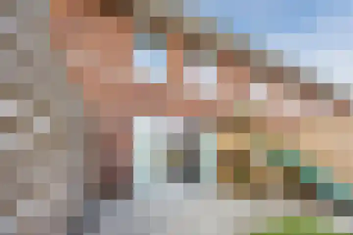 Lieve Vrouweveld 34 Vorstenbosch thumbnail 35