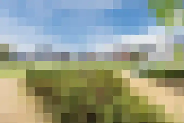 Lieve Vrouweveld 34 Vorstenbosch thumbnail 36