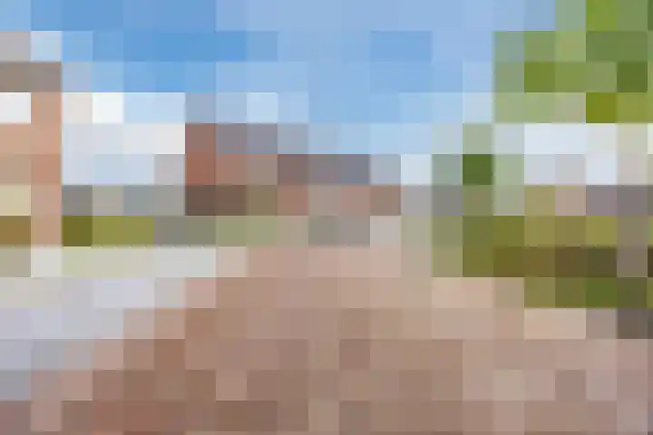 Lieve Vrouweveld 34 Vorstenbosch thumbnail 4