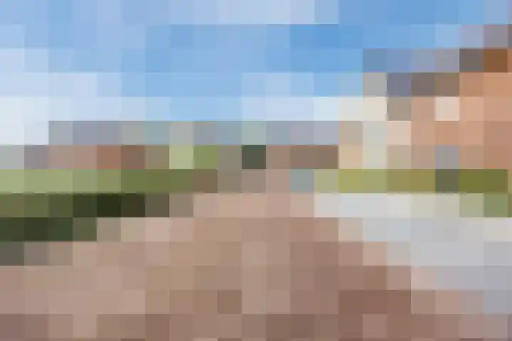 Lieve Vrouweveld 34 Vorstenbosch thumbnail 5