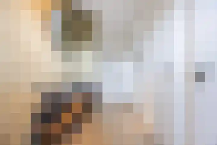 Lieve Vrouweveld 34 Vorstenbosch thumbnail 6
