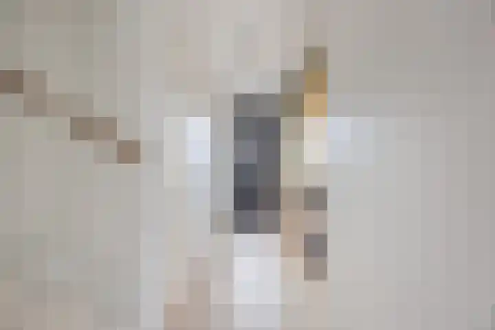 Lieve Vrouweveld 34 Vorstenbosch thumbnail 7