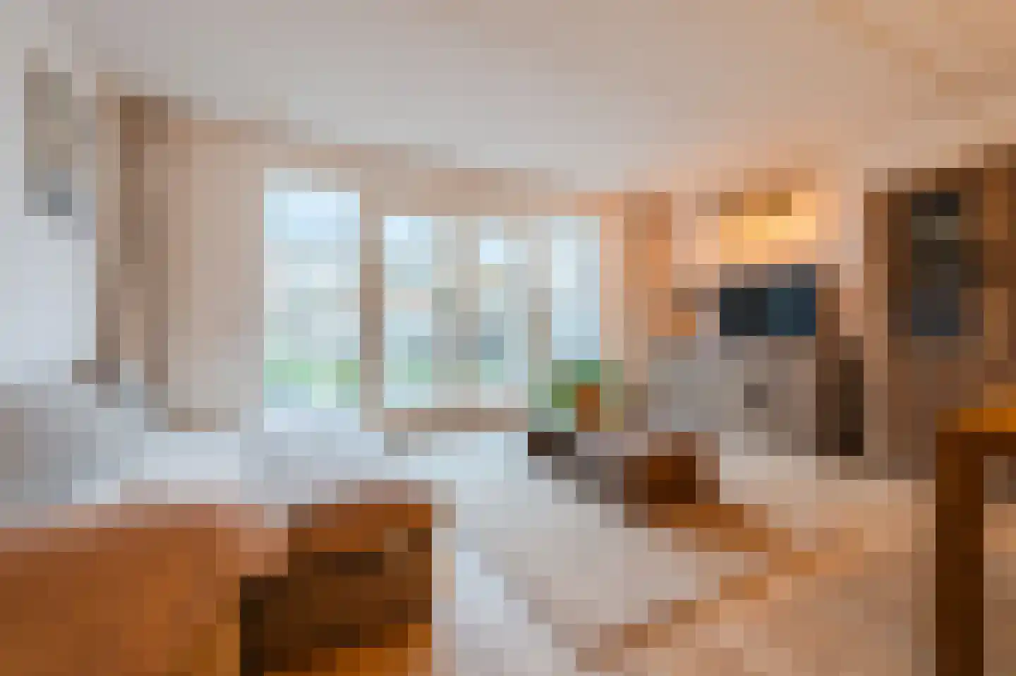 Lieve Vrouweveld 5 Vorstenbosch thumbnail 11
