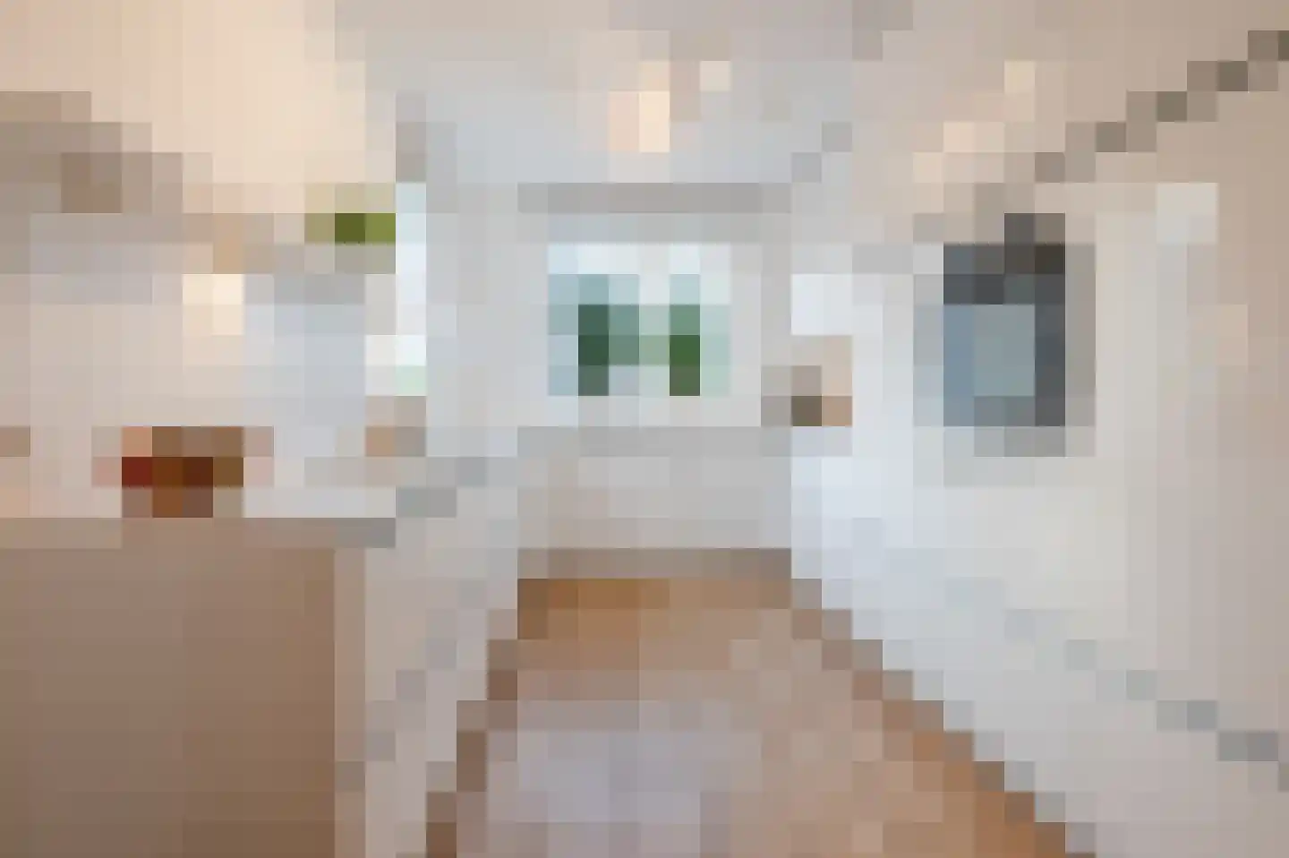 Lieve Vrouweveld 5 Vorstenbosch thumbnail 19
