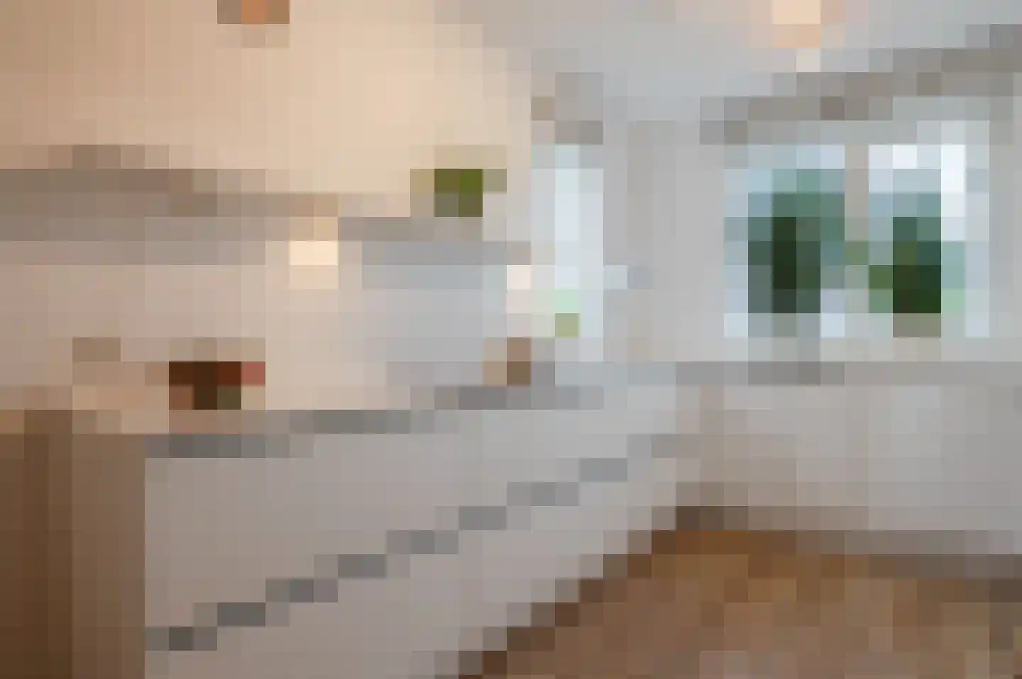 Lieve Vrouweveld 5 Vorstenbosch thumbnail 20