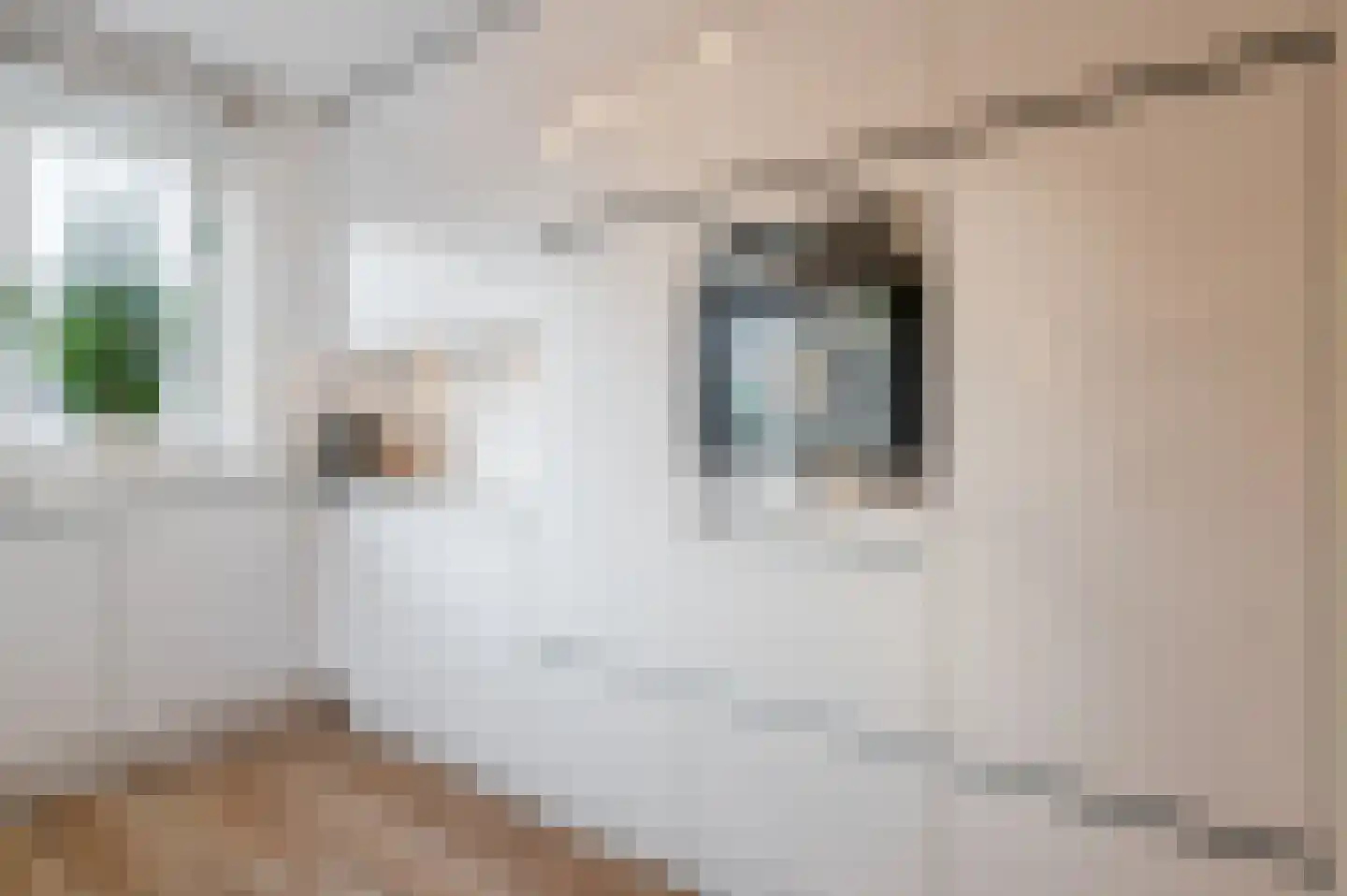 Lieve Vrouweveld 5 Vorstenbosch thumbnail 21