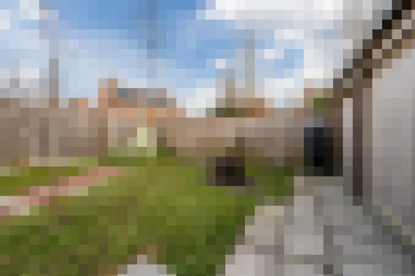Lieve Vrouweveld 5 Vorstenbosch thumbnail 47