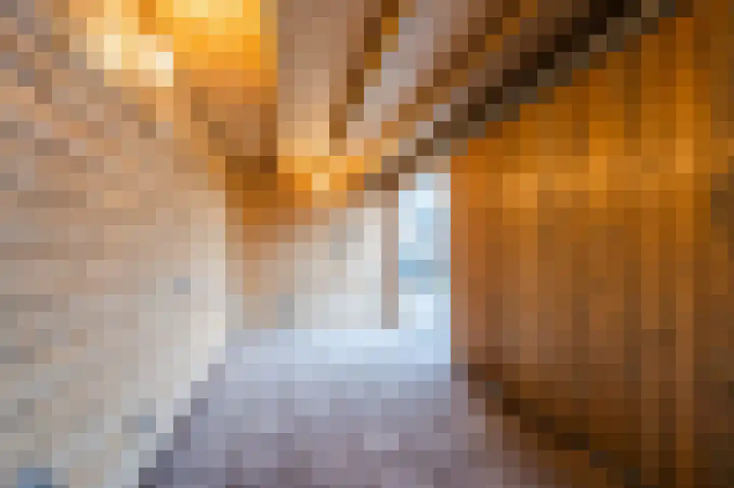 Lieve Vrouweveld 5 Vorstenbosch thumbnail 49