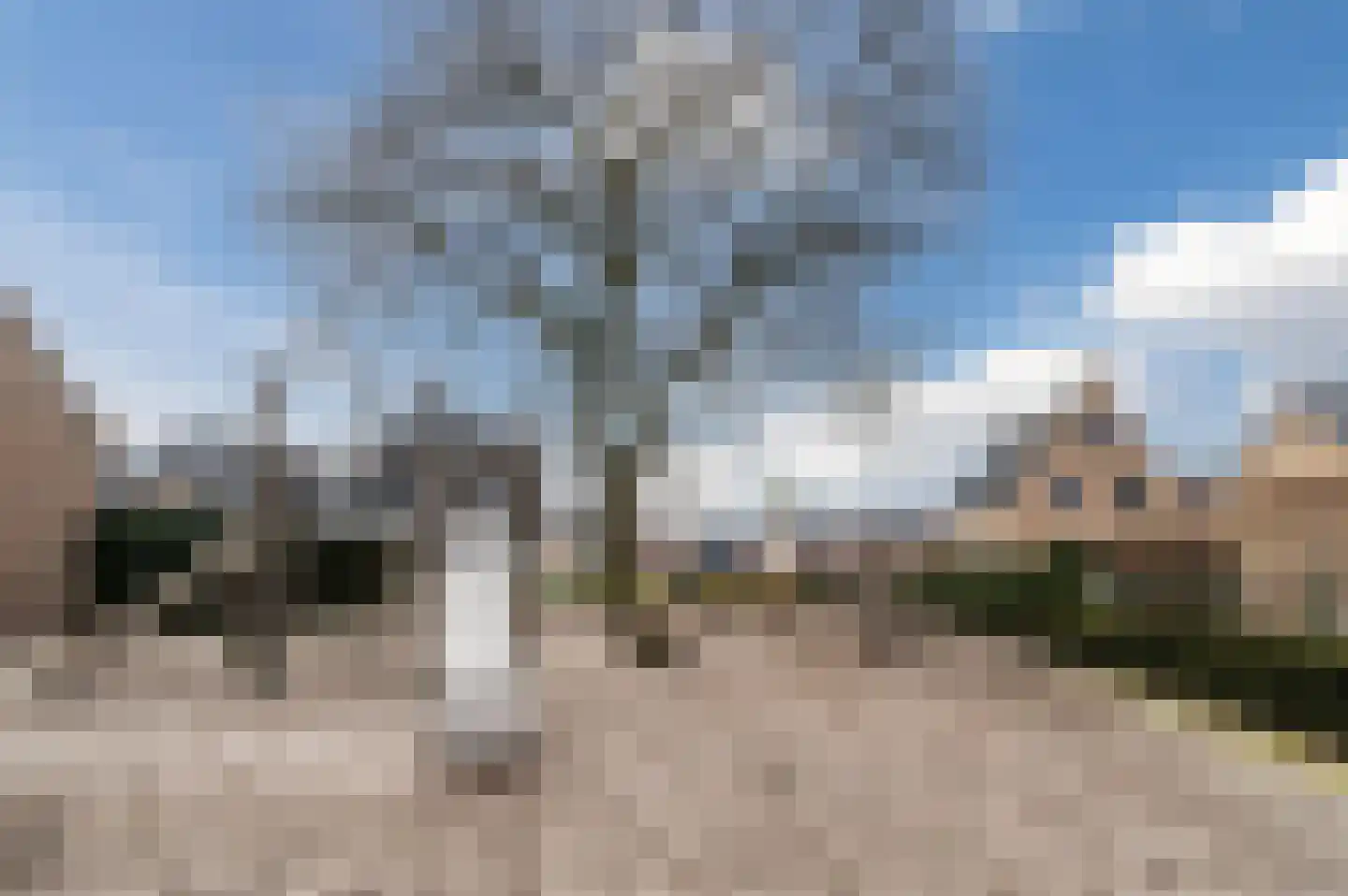 Lieve Vrouweveld 5 Vorstenbosch thumbnail 55