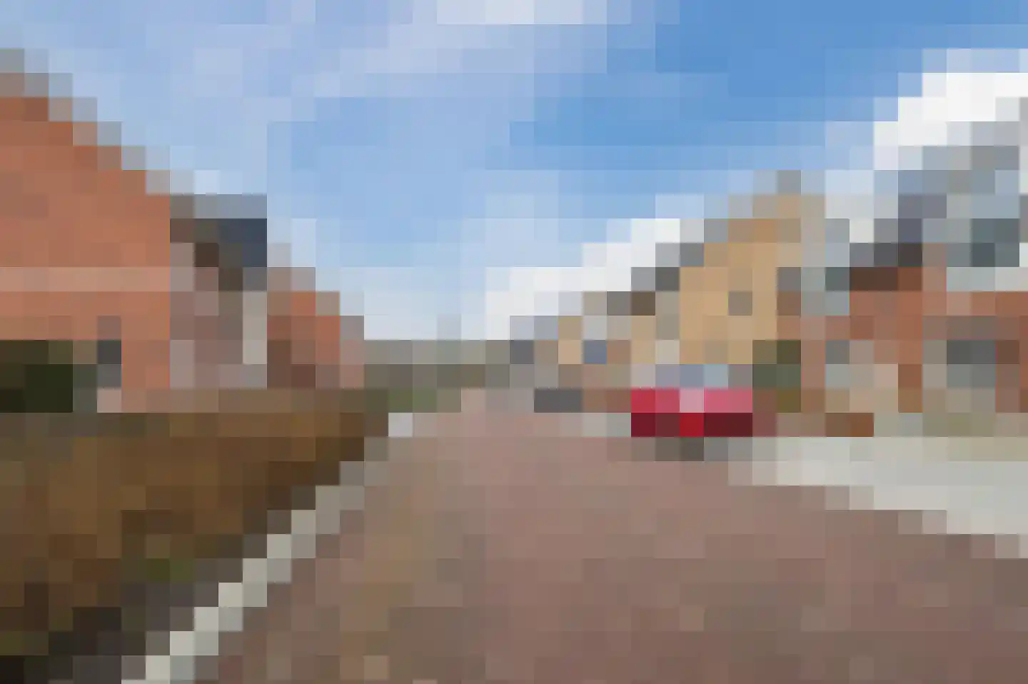 Lieve Vrouweveld 5 Vorstenbosch thumbnail 56