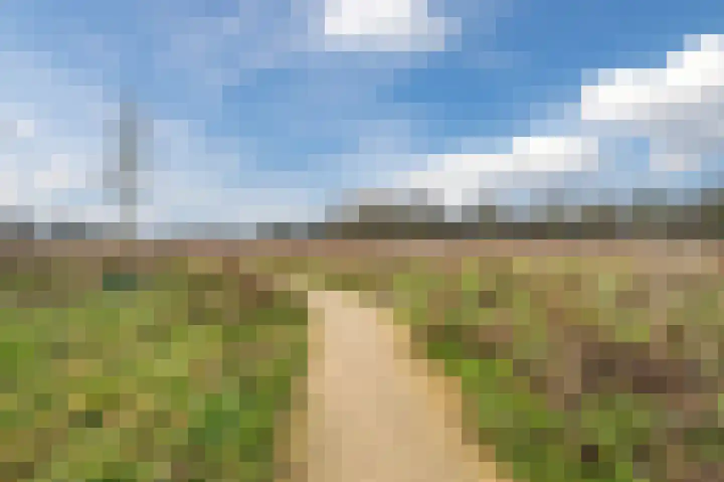 Lieve Vrouweveld 5 Vorstenbosch thumbnail 57
