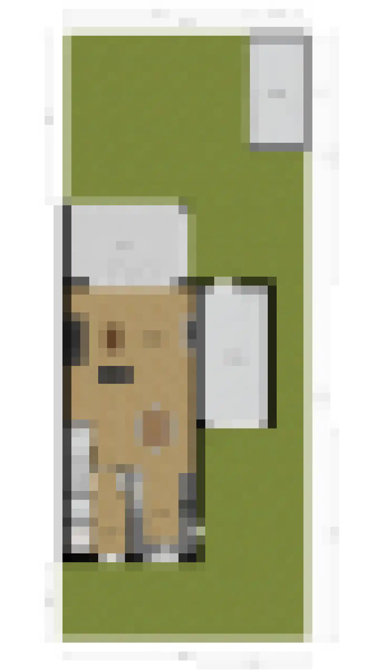 Lieve Vrouweveld 5 Vorstenbosch thumbnail 58