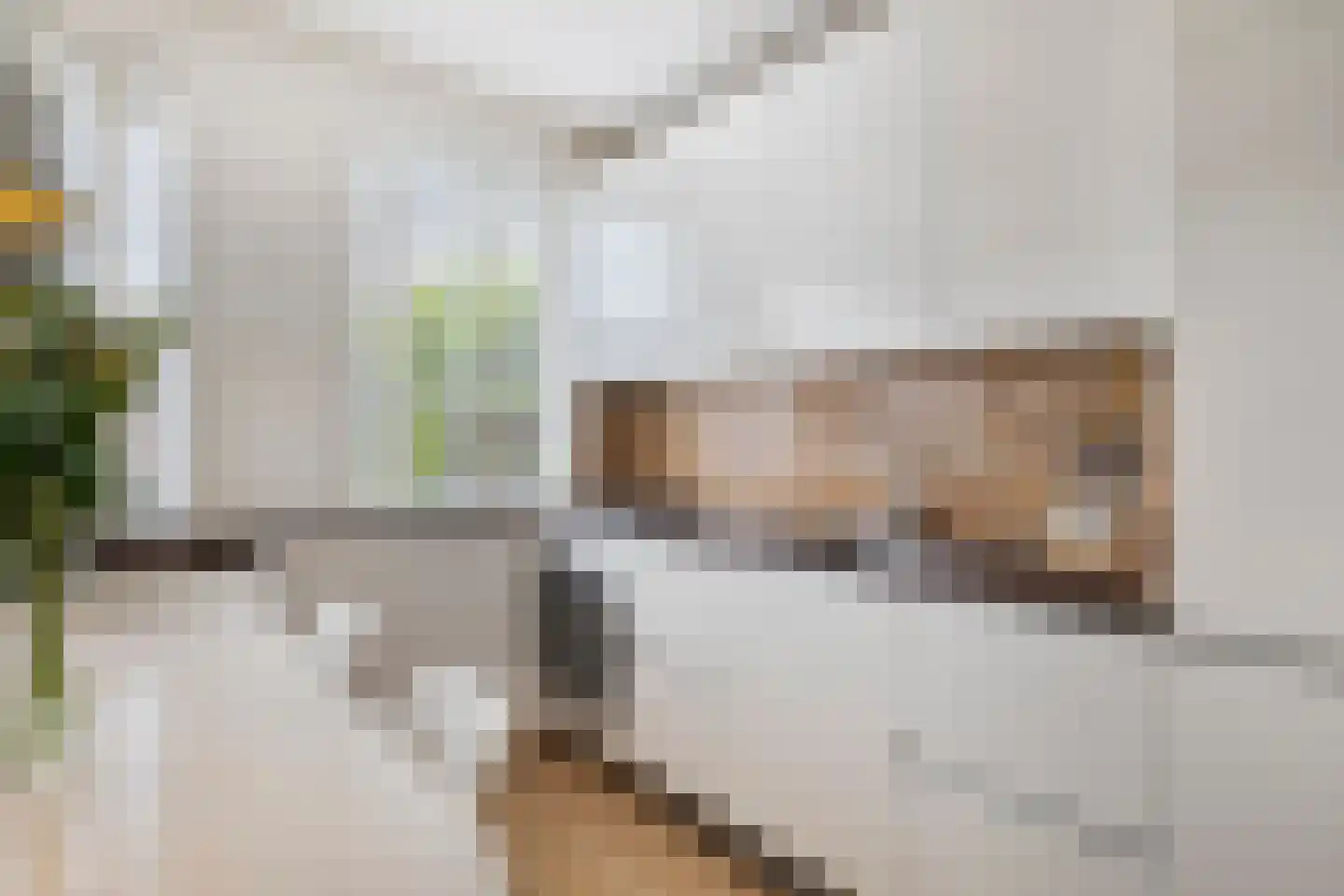 Lievekenshoek 10 Kaatsheuvel thumbnail 11