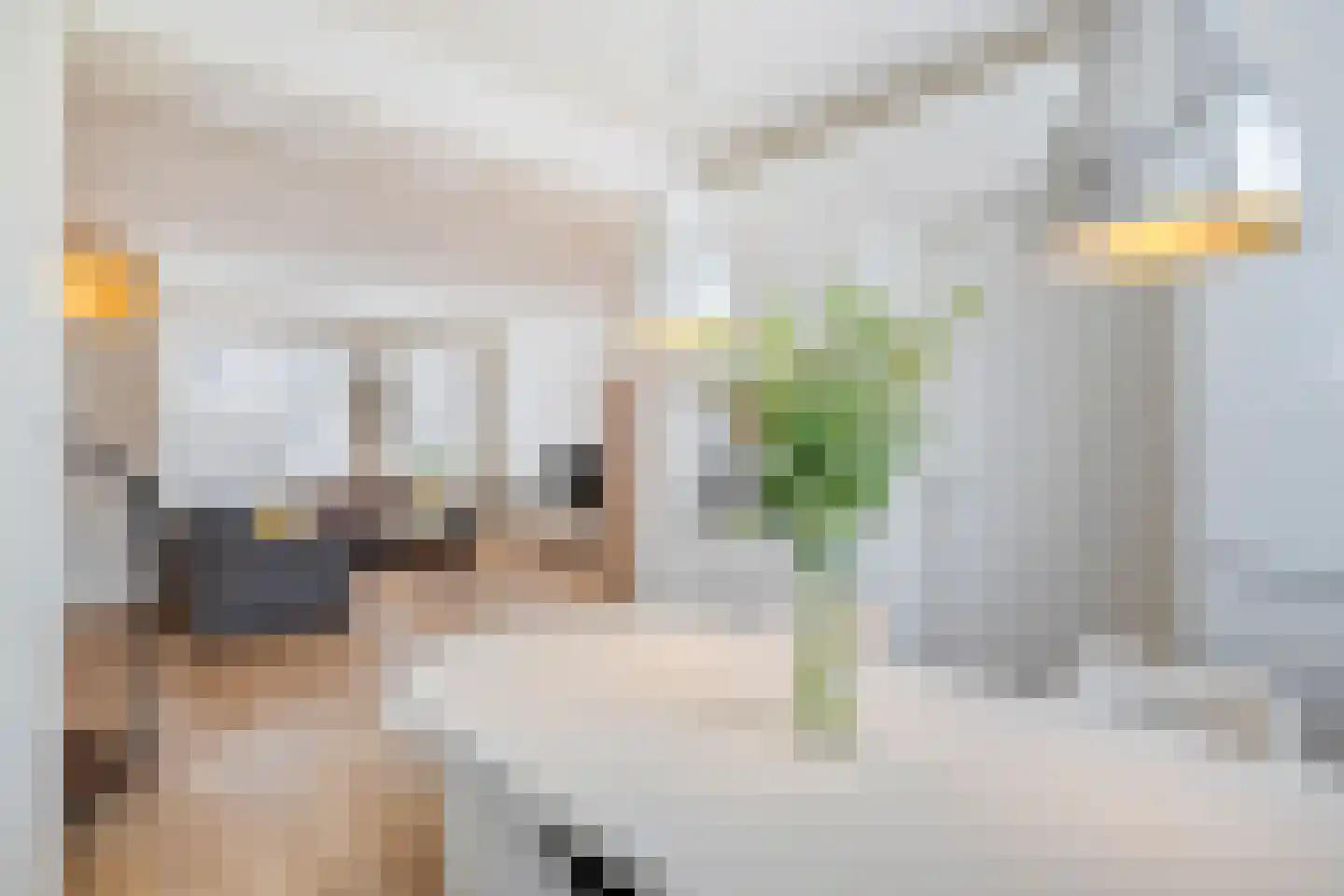 Lievekenshoek 10 Kaatsheuvel thumbnail 12
