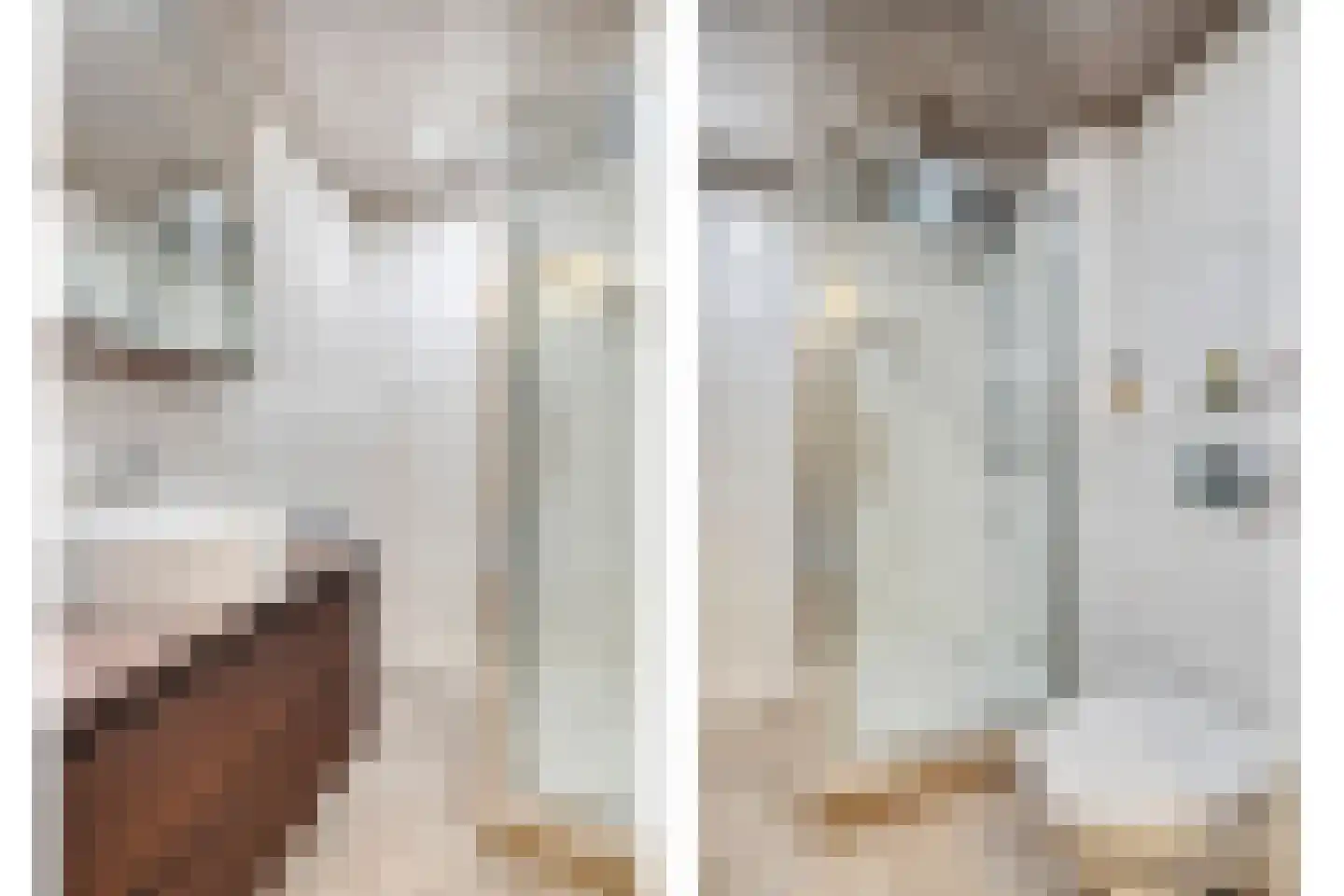 Lievekenshoek 10 Kaatsheuvel thumbnail 20