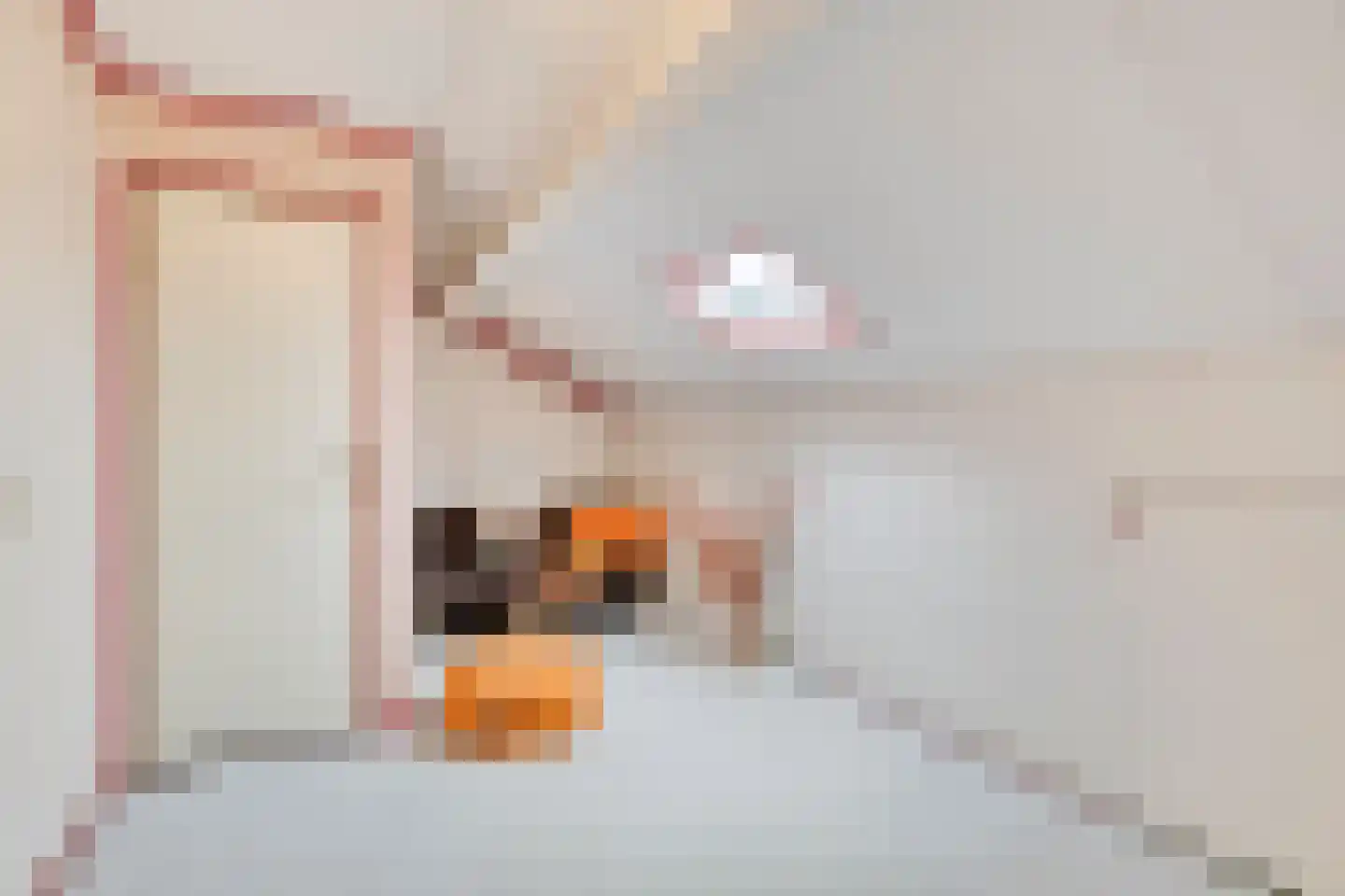 Lievekenshoek 10 Kaatsheuvel thumbnail 21