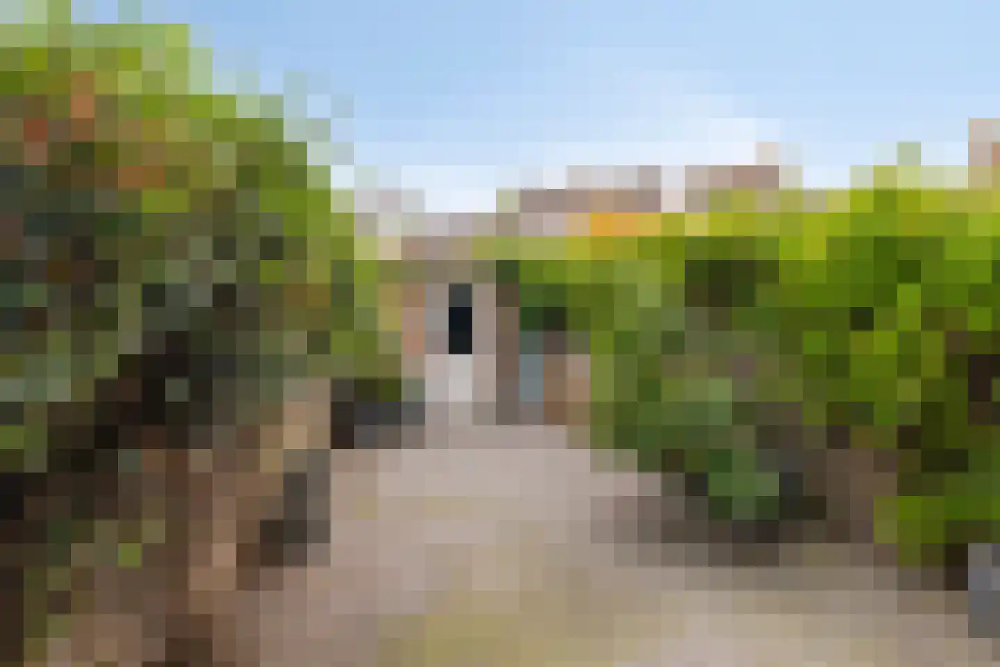 Lievekenshoek 10 Kaatsheuvel thumbnail 22