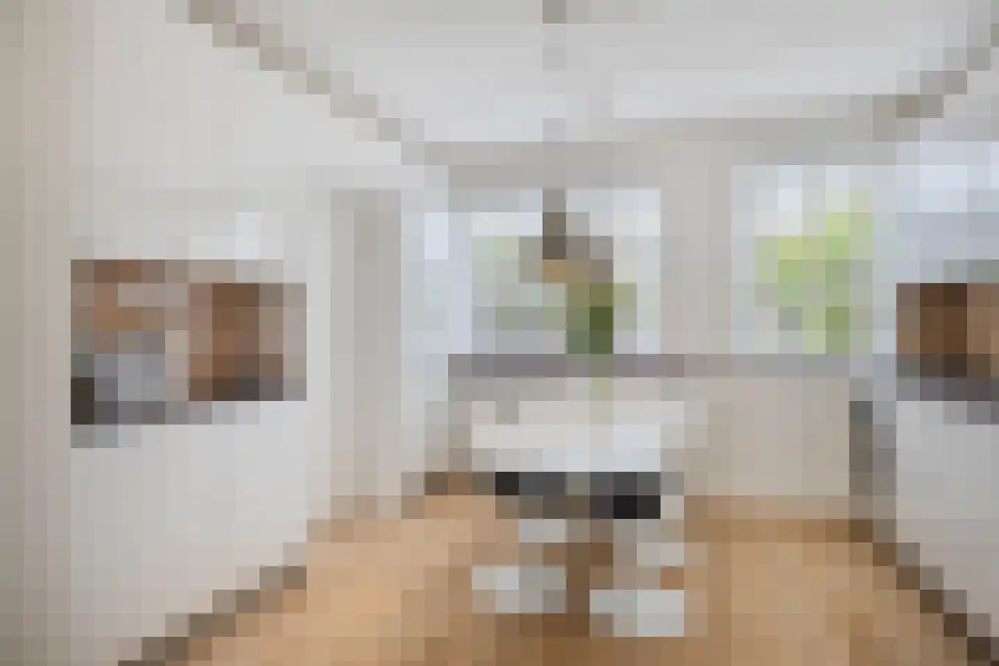 Lievekenshoek 10 Kaatsheuvel thumbnail 4
