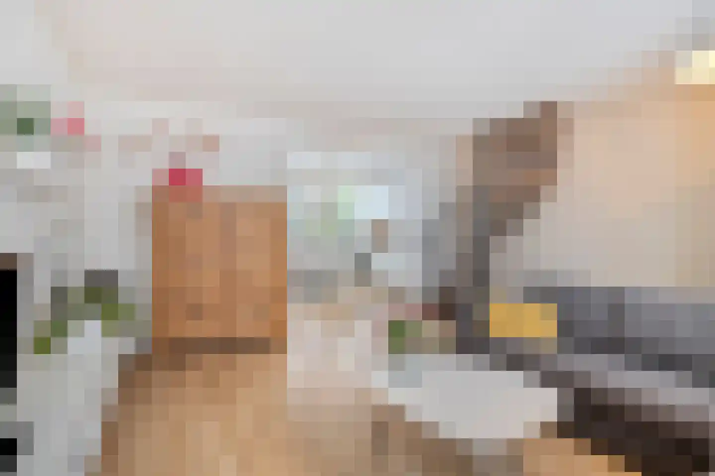 Lievekenshoek 10 Kaatsheuvel thumbnail 8