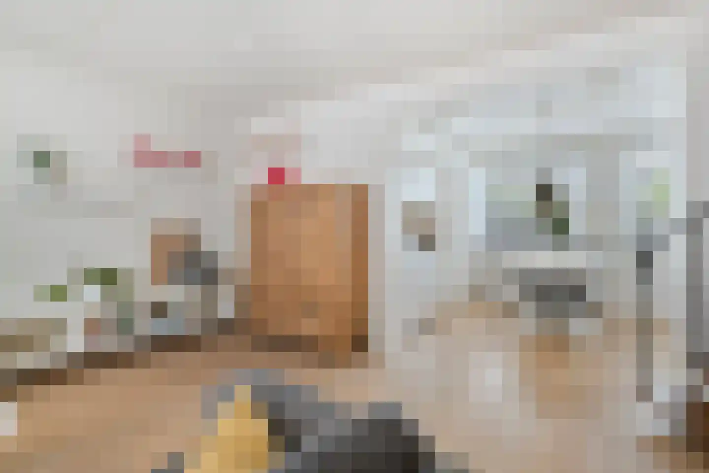 Lievekenshoek 10 Kaatsheuvel thumbnail 9
