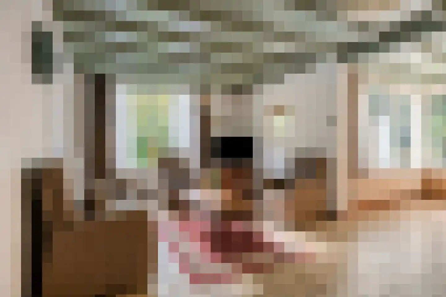 Lieveld 8 A Oirschot thumbnail 10