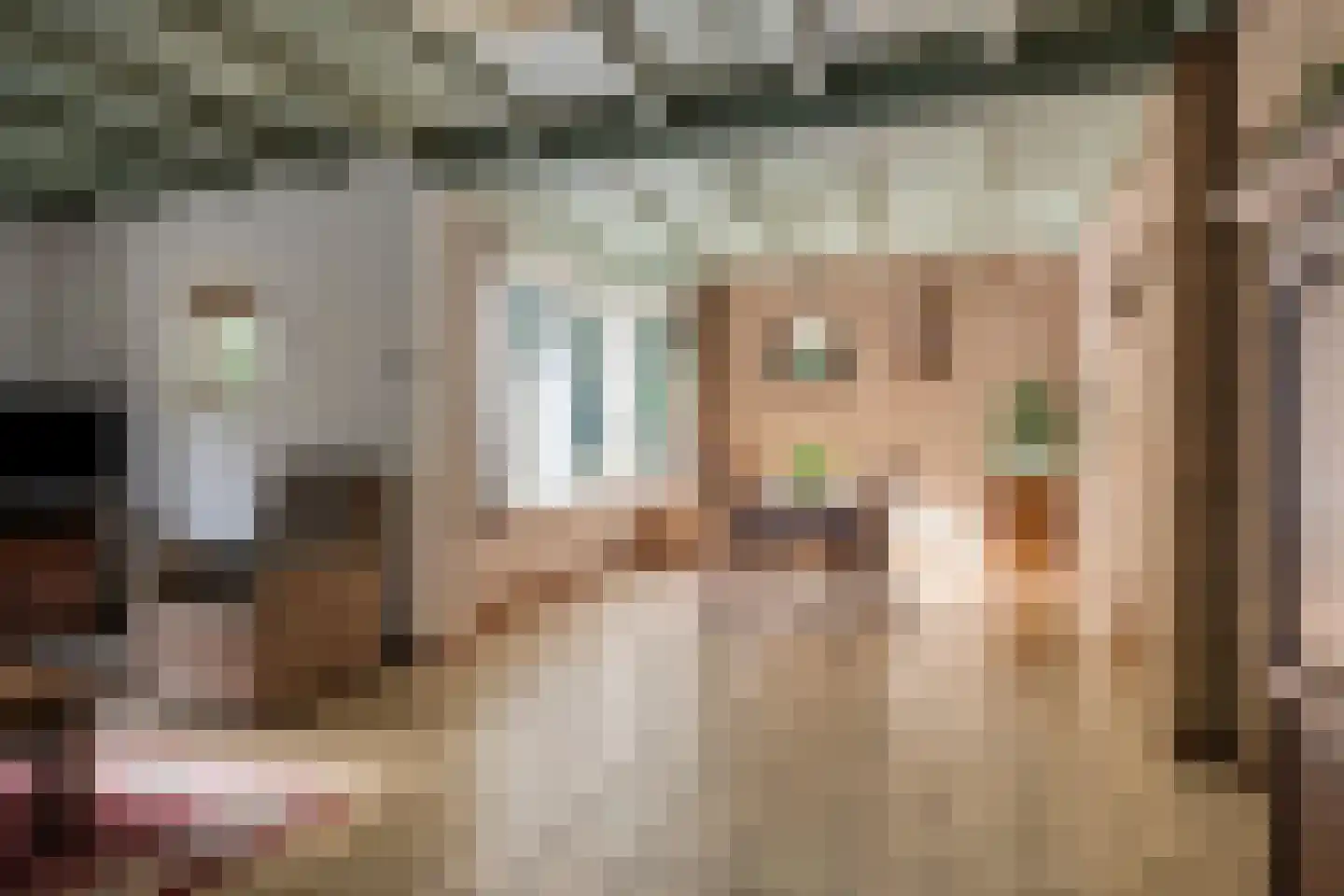 Lieveld 8 A Oirschot thumbnail 15