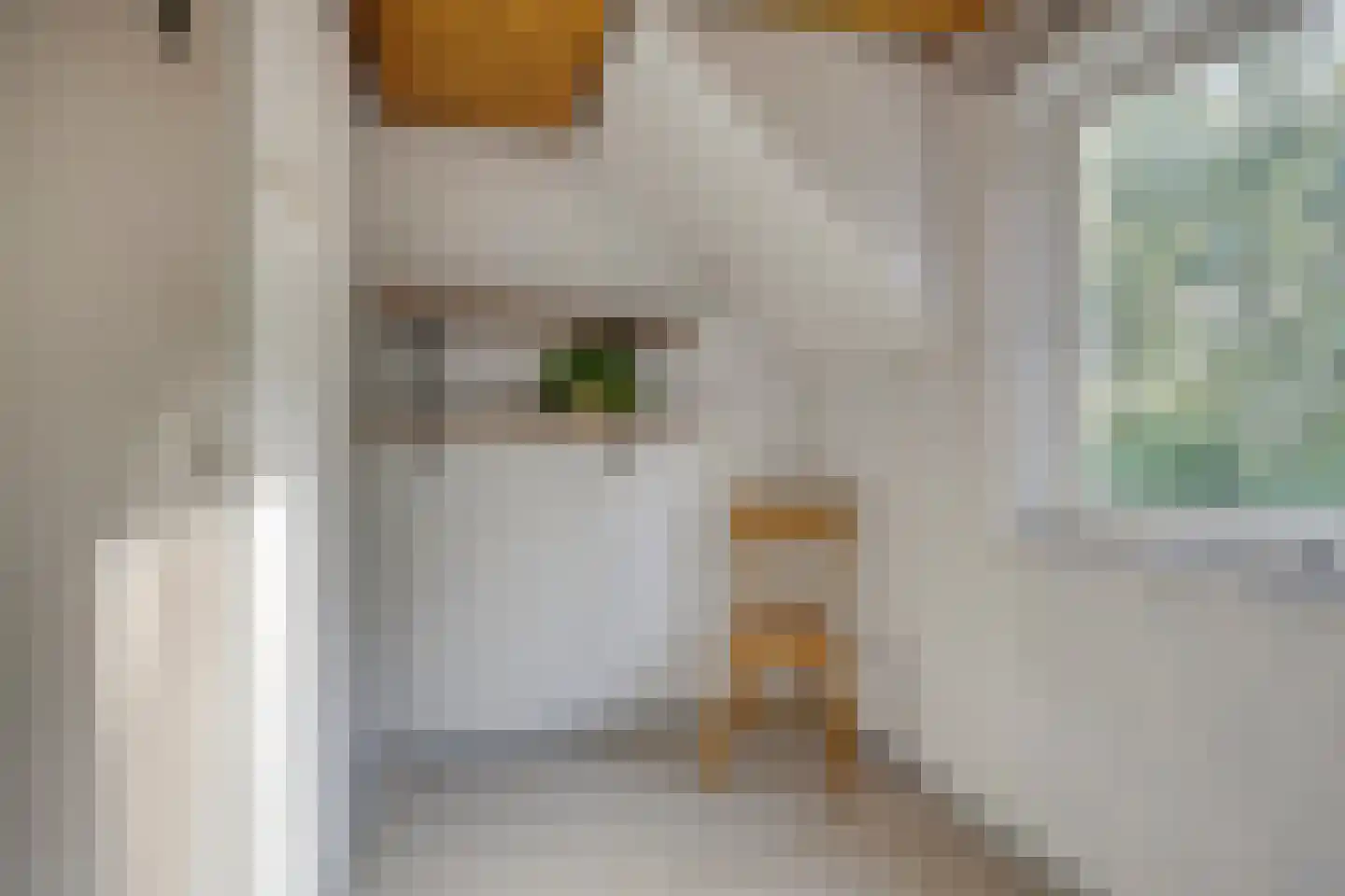 Lieveld 8 A Oirschot thumbnail 39