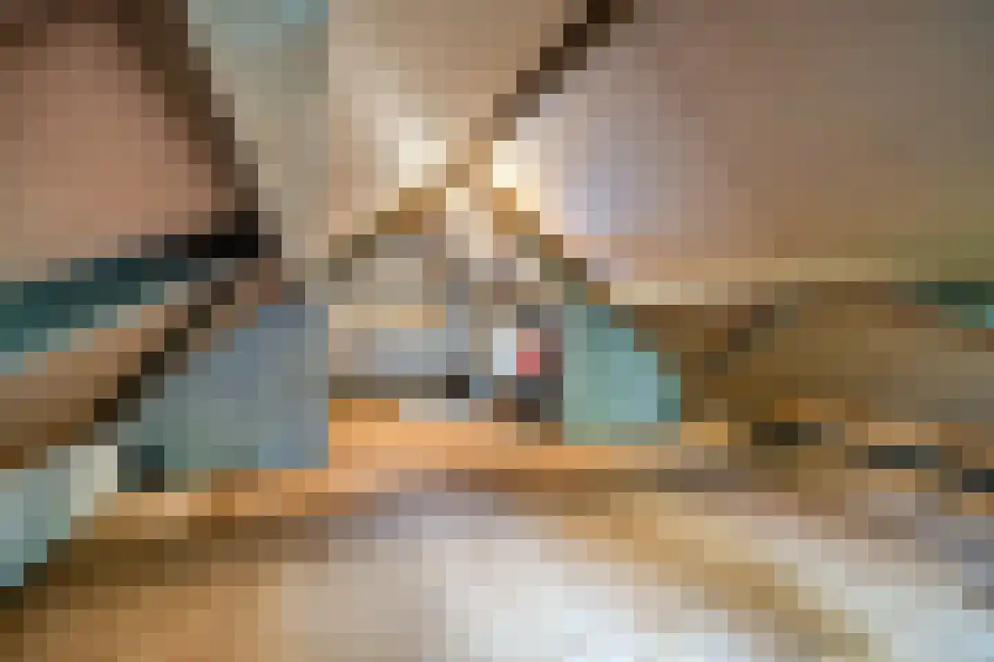 Lieveld 8 A Oirschot thumbnail 40