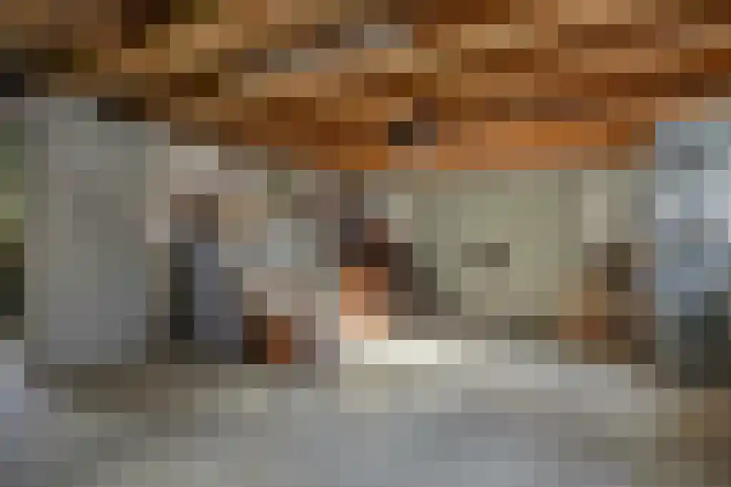 Lieveld 8 A Oirschot thumbnail 42
