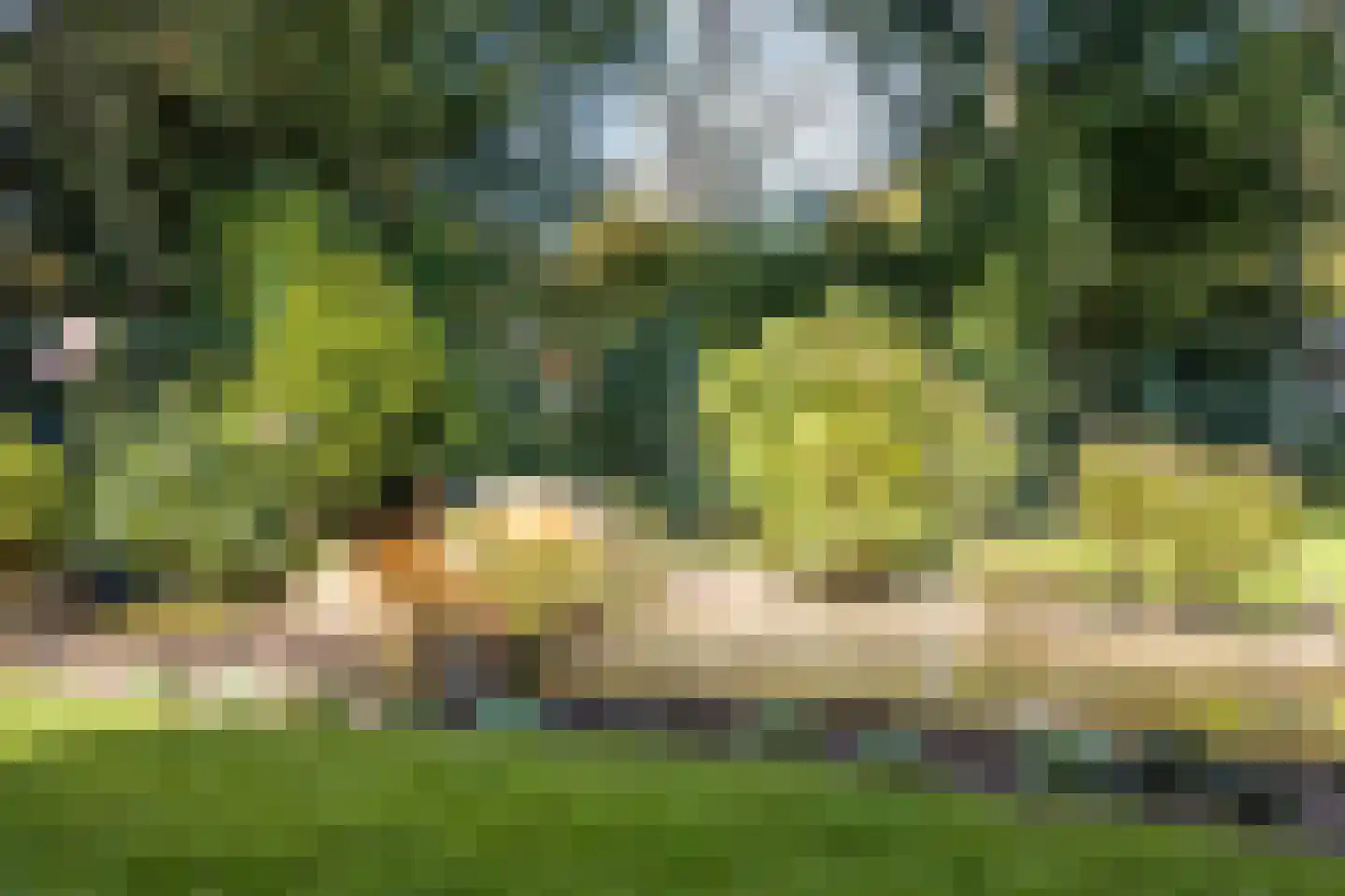 Lieveld 8 A Oirschot thumbnail 52