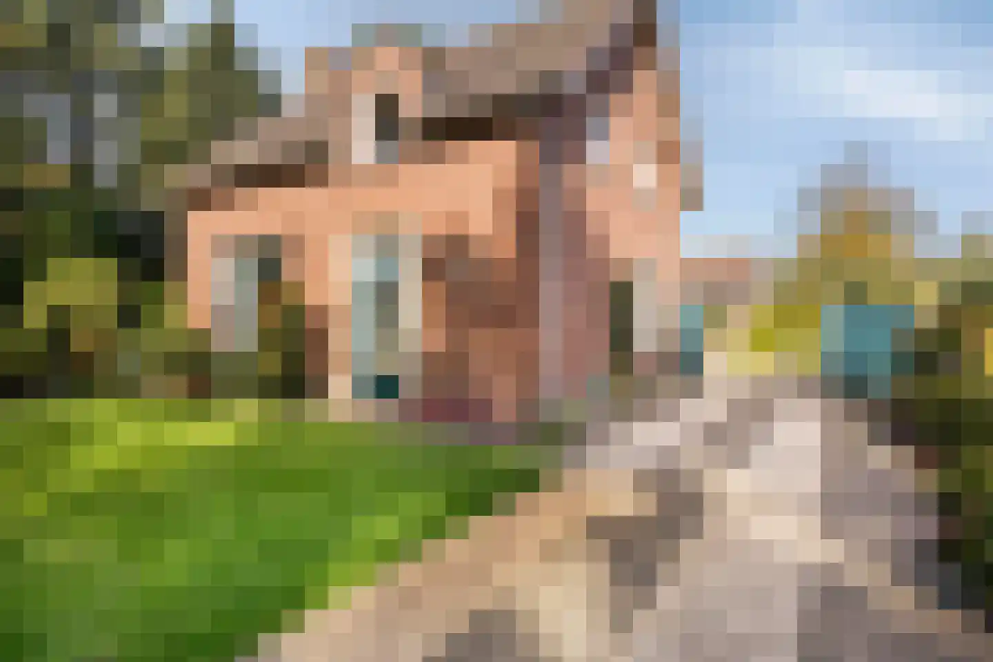 Lieveld 8 A Oirschot thumbnail 56