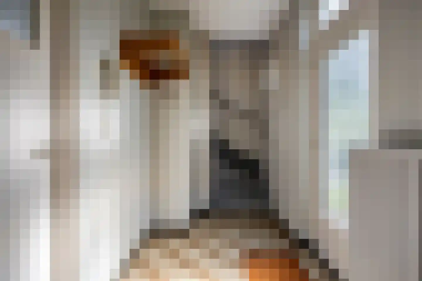 Lieveld 8 A Oirschot thumbnail 8