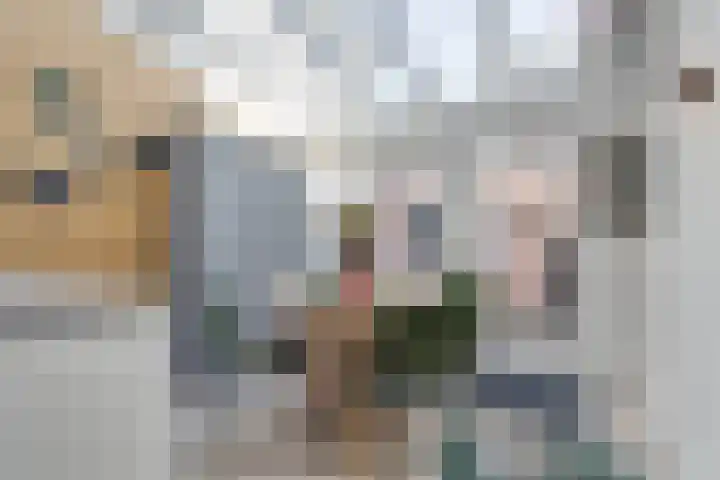 Lievelderstraat 15 Groenlo thumbnail 16