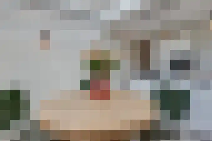 Lievelderstraat 15 Groenlo thumbnail 18