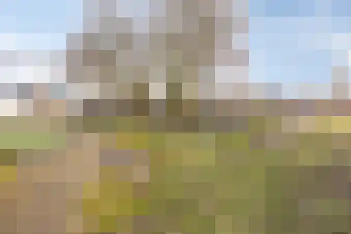 Lieven de Keijstraat 3 Tilburg thumbnail 33