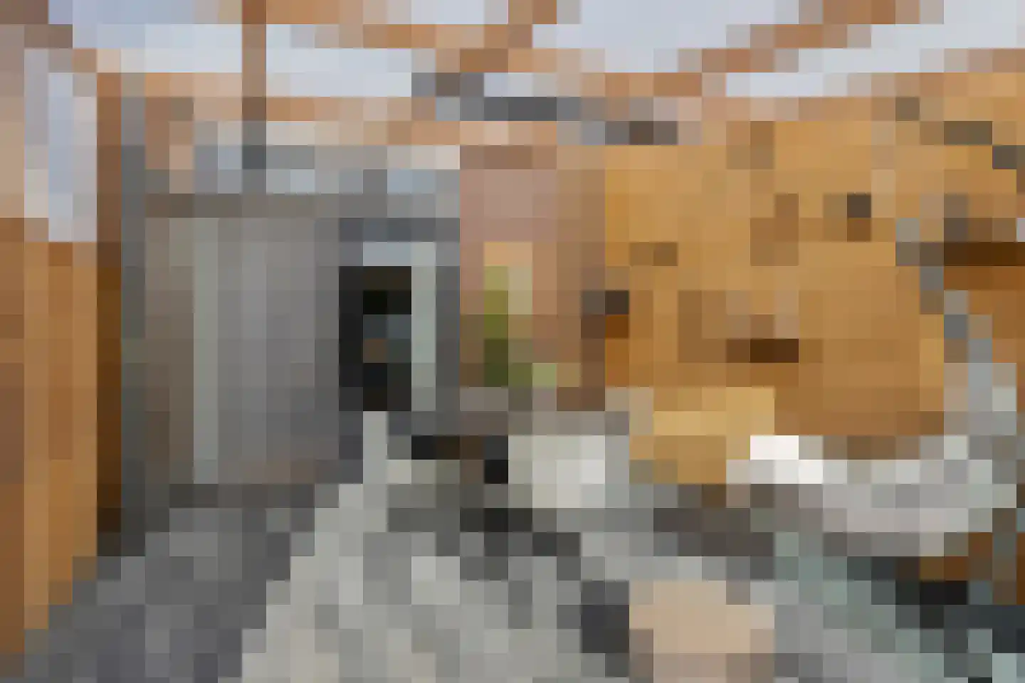 Lieven de Keijstraat 32 Tilburg thumbnail 28