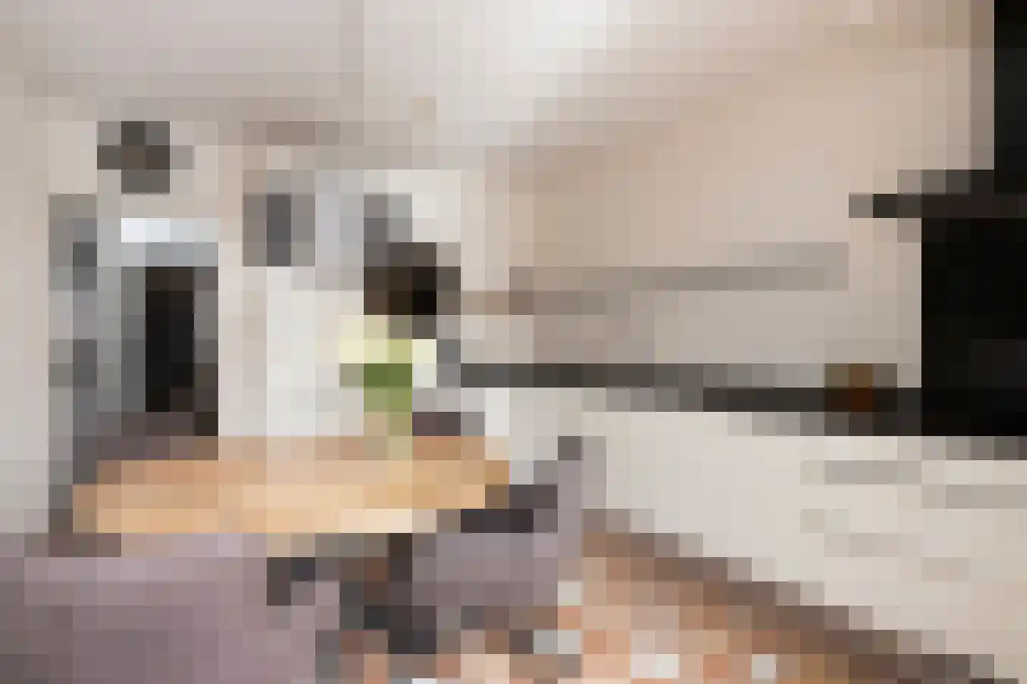 Lieven de Keijstraat 32 Tilburg thumbnail 7