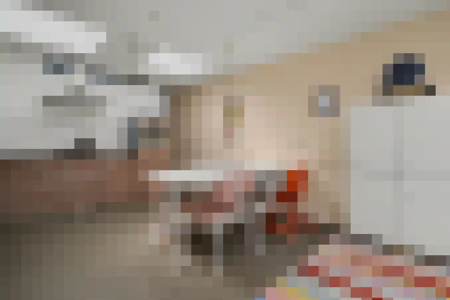 Lieven de Keijstraat 36 Tilburg thumbnail 14