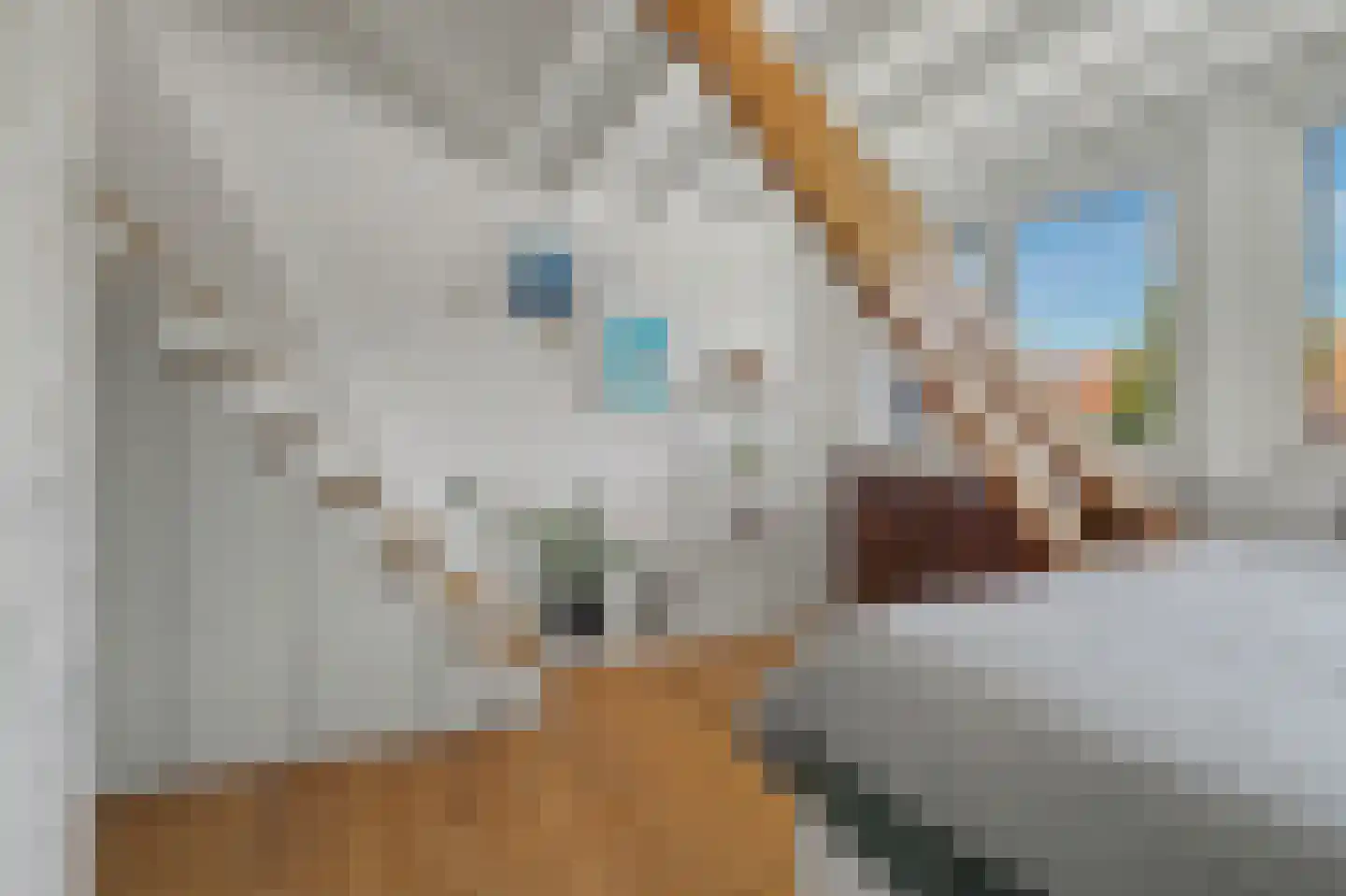 Lieven de Keijstraat 36 Tilburg thumbnail 27