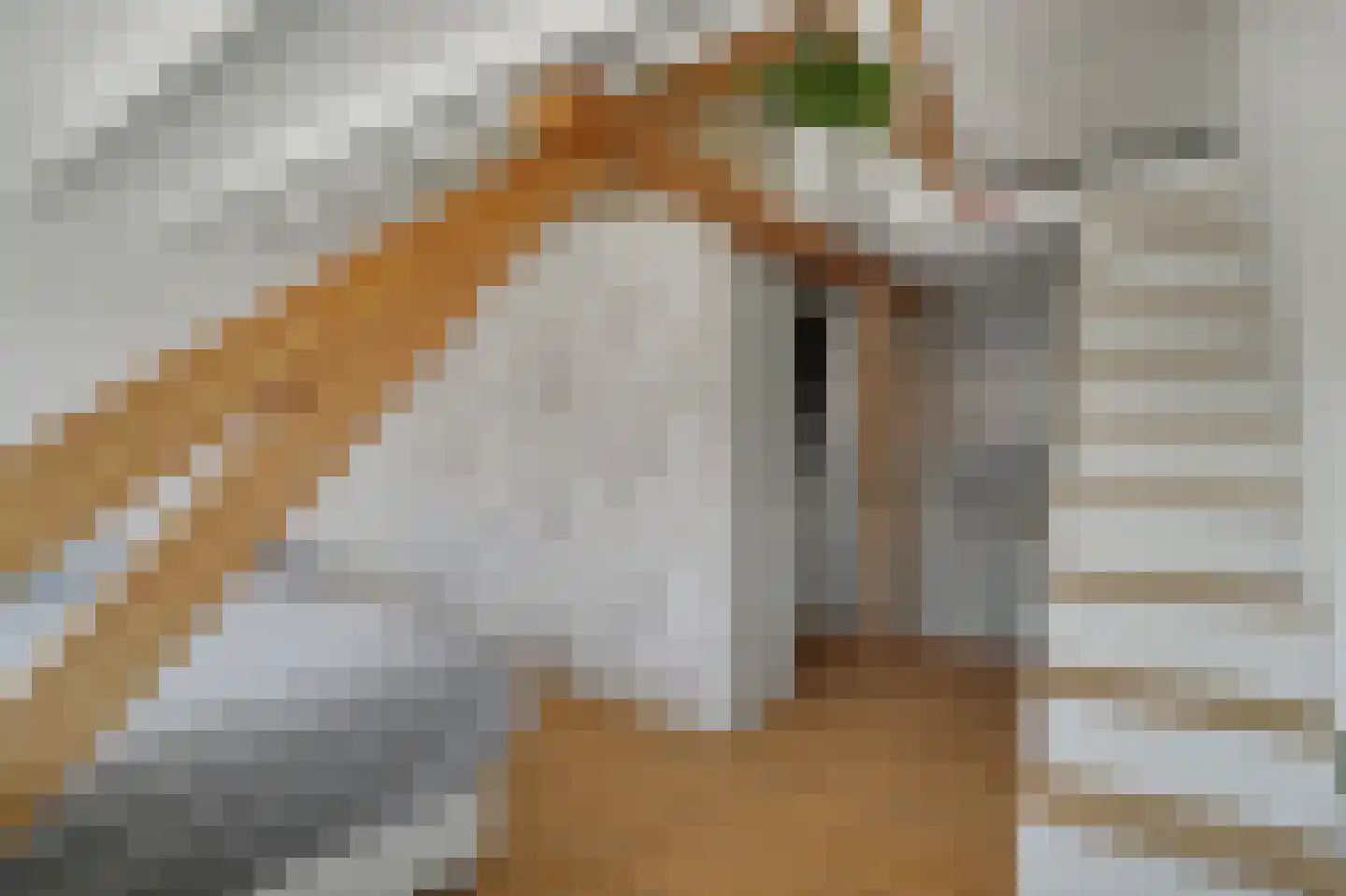 Lieven de Keijstraat 36 Tilburg thumbnail 28