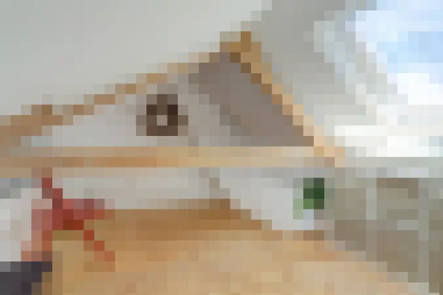 Lieven de Keijstraat 36 Tilburg thumbnail 30
