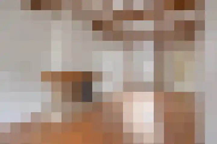 Lieven de Keijstraat 37 Tilburg thumbnail 10