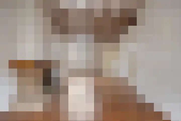 Lieven de Keijstraat 37 Tilburg thumbnail 11
