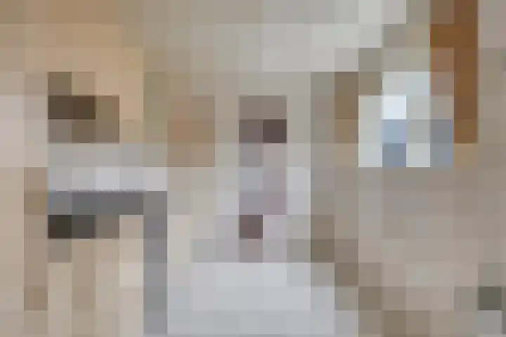 Lieven de Keijstraat 37 Tilburg thumbnail 21