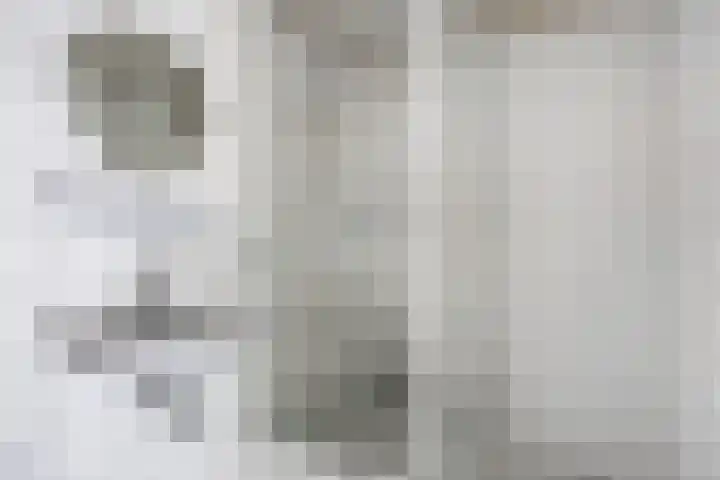 Lieven de Keijstraat 37 Tilburg thumbnail 25