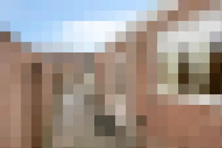 Lieven de Keijstraat 37 Tilburg thumbnail 45