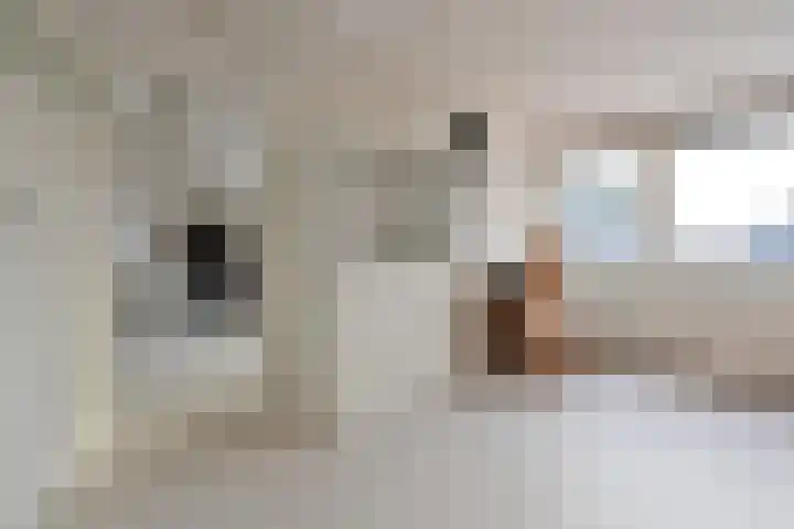 Lieven de Keylaan 107 Hilversum thumbnail 12