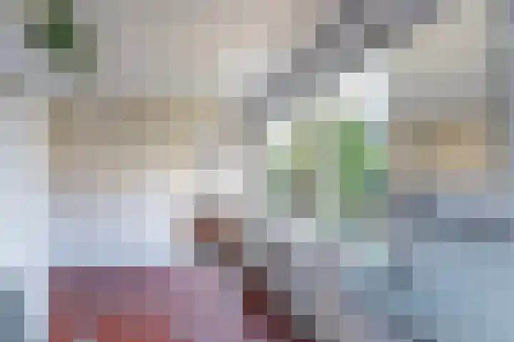 Lieven de Keylaan 15 Hilversum thumbnail 14