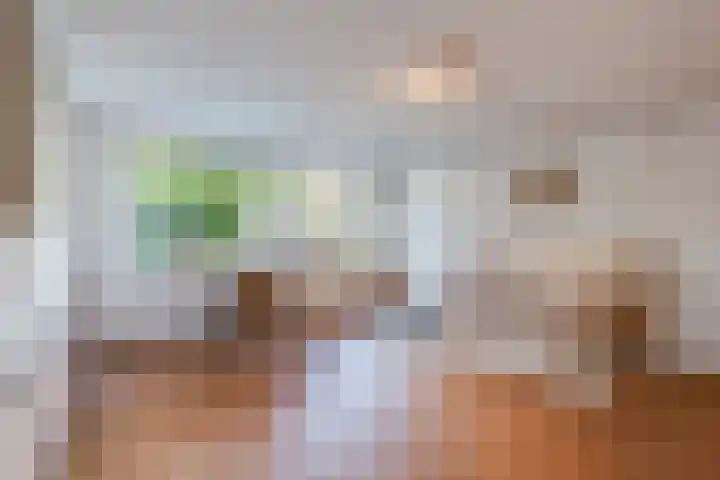 Lieven de Keylaan 15 Hilversum thumbnail 16